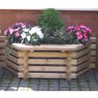 Flatback Planter