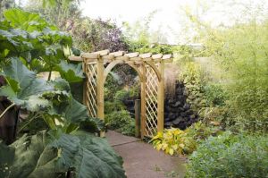 Forest Large Ultima Pergola Arch