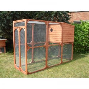 Chicken Aviary Coop