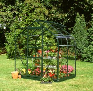 Halls Supreme 4x6 Greenhouse Forest Green