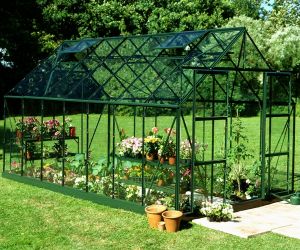 Halls Magnum 14x8 Greenhouse