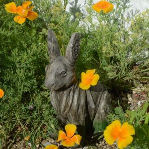 Rabbit Statue Driftwood Effect